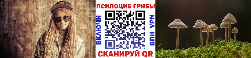 OMG   Оха  Галлюциногенные грибы мухоморы  где купить наркоту 