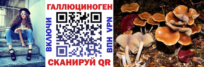 Галлюциногенные грибы мухоморы Оха