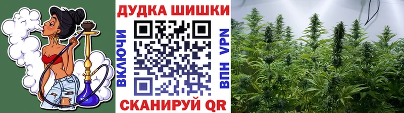 купить закладку  Оха  Бошки марихуана THC 21% 